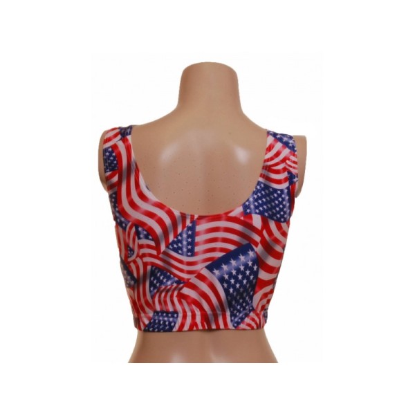 American Flag Crop Pole Top